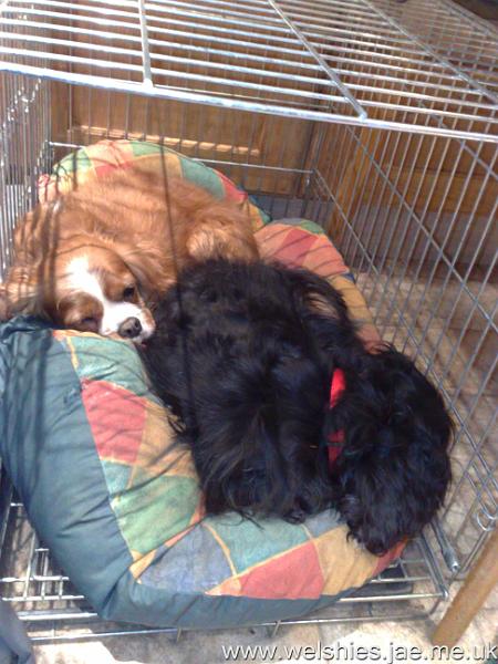 2009-11-09 01.jpg - Yes, we can both still fit in...